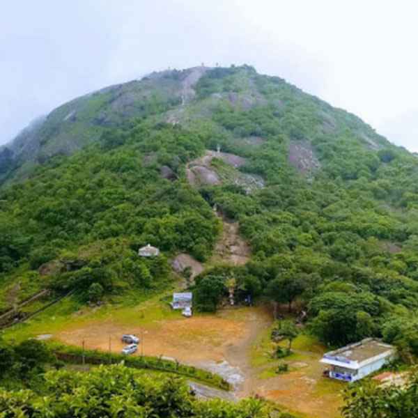 resorts in idukki