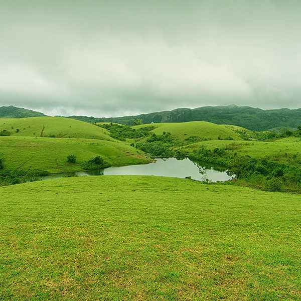 Best Resorts in Idukki