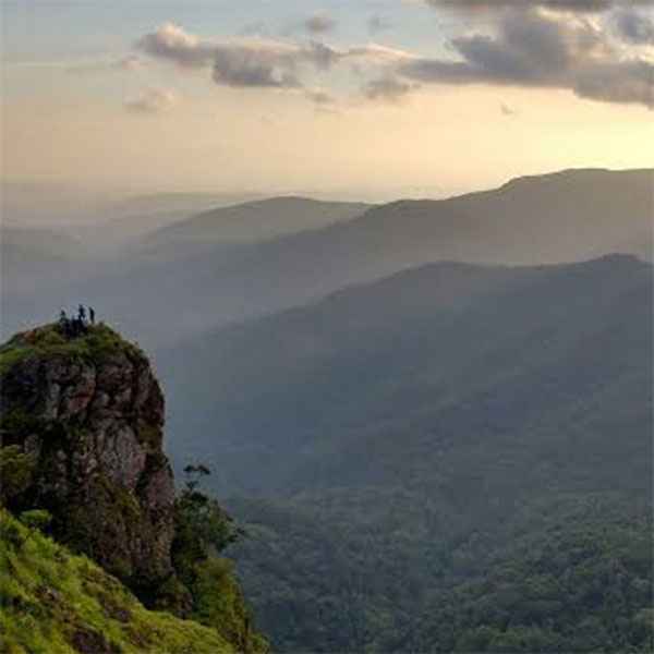 Best Resorts in Vagamon